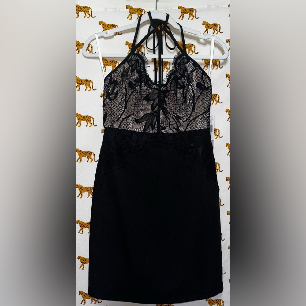Gianni Bini NWT lace body on dress size Small
